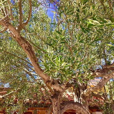 شقة In With Seaview, Terrace, Wifi Ražanj