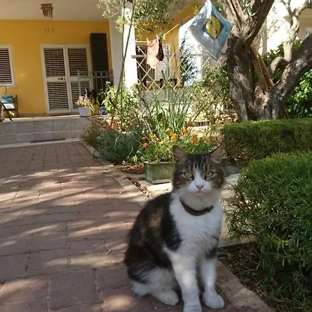 شقة In With Seaview, Terrace, Wifi