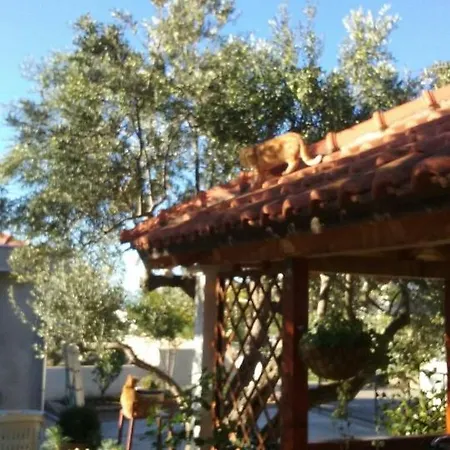 شقة In With Seaview, Terrace, Wifi *