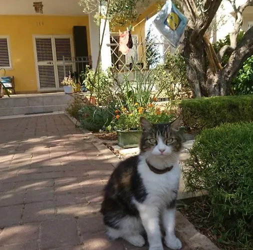 Appartement In With Seaview, Terrace, Wifi