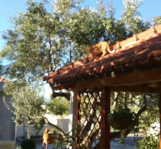 Apartamento In With Seaview, Terrace, Wifi *